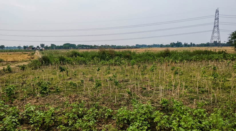 SALIMPUR ALANG