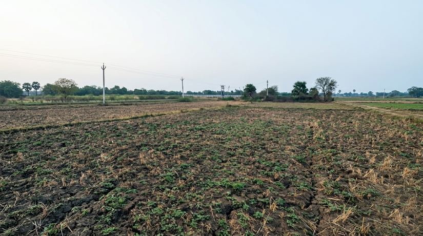 SALIMPUR ALANG