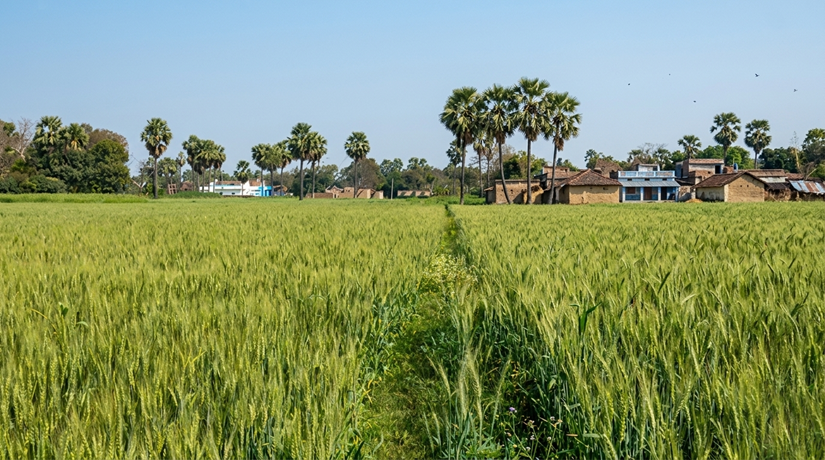 SALIMPUR RAMPUR DOMA