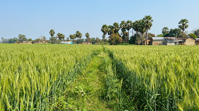 SALIMPUR RAMPUR DOMA